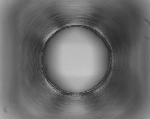 X0000101691137200807101201