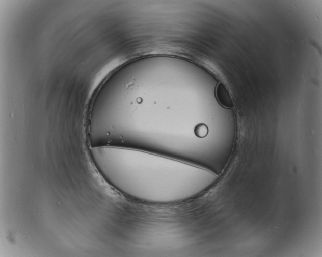 X0000101691138200807101201