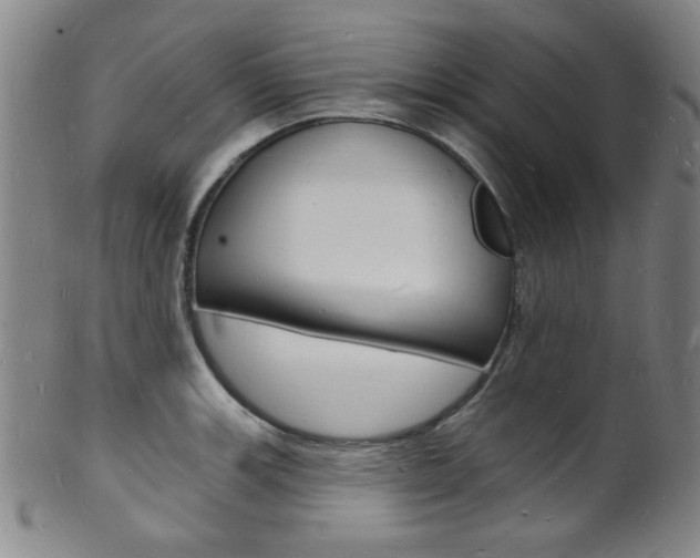 X0000101691139200807101201