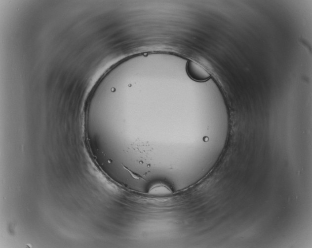 X0000101691140200807101202