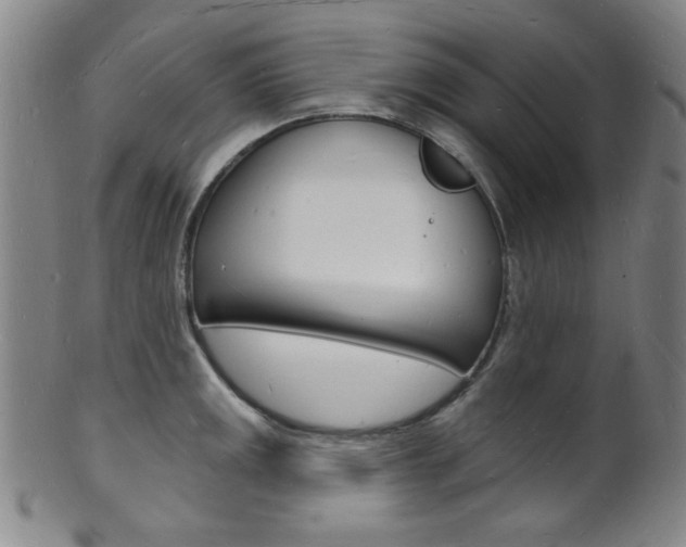 X0000101691141200807101202