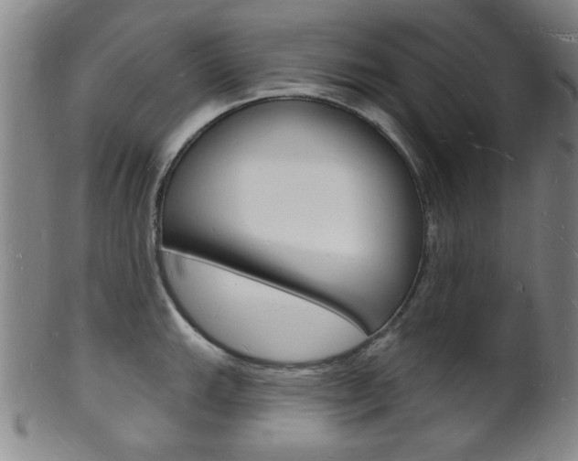 X0000101691143200807101202