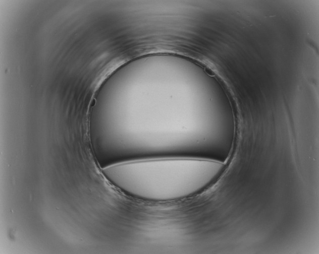 X0000101691145200807101202