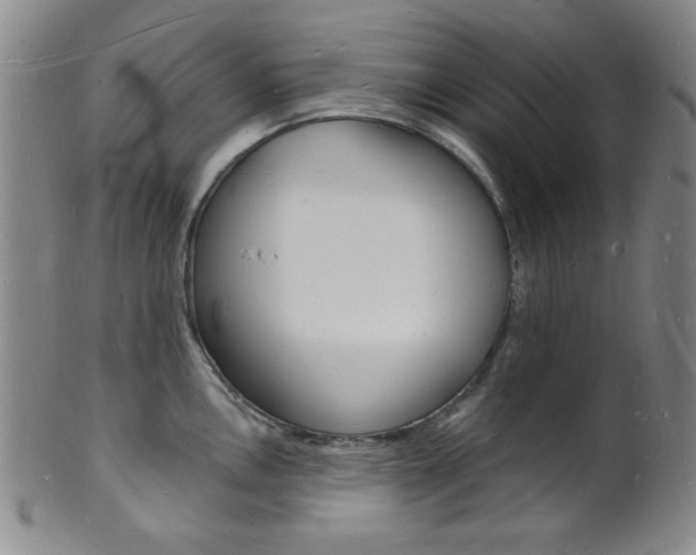 X0000101691146200807101202