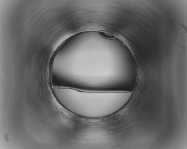 X0000101691147200807101202
