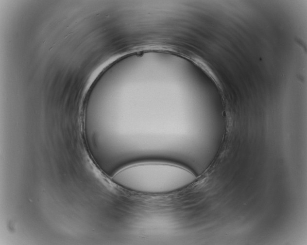 X0000101691148200807101202