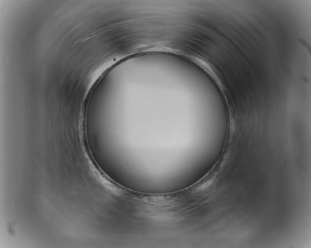 X0000101691149200807101202