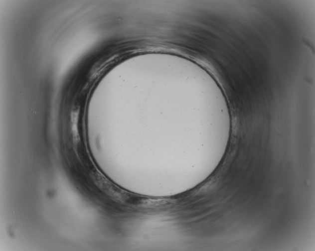 X0000101691150200807101202