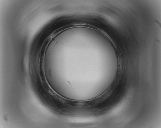 X0000101691151200807101202