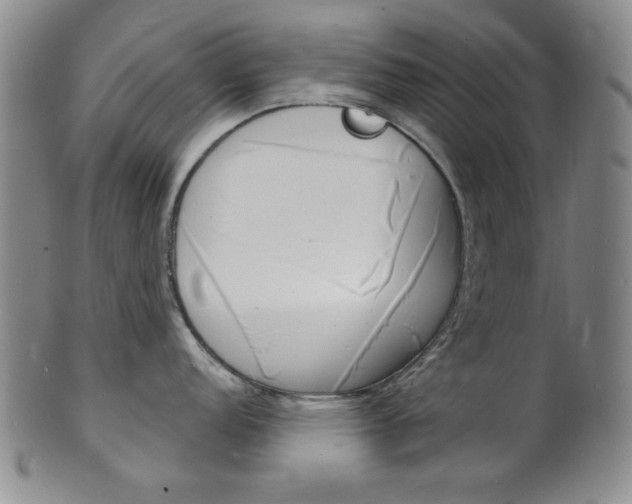 X0000101691152200807101202