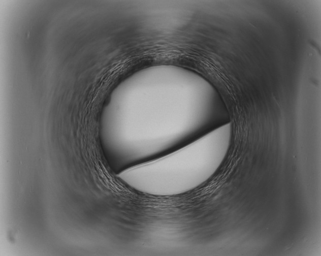 X0000101691153200807101201