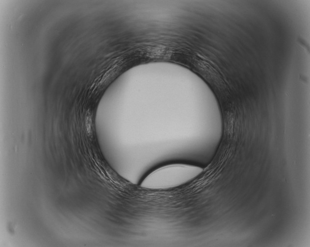 X0000101691154200807101201