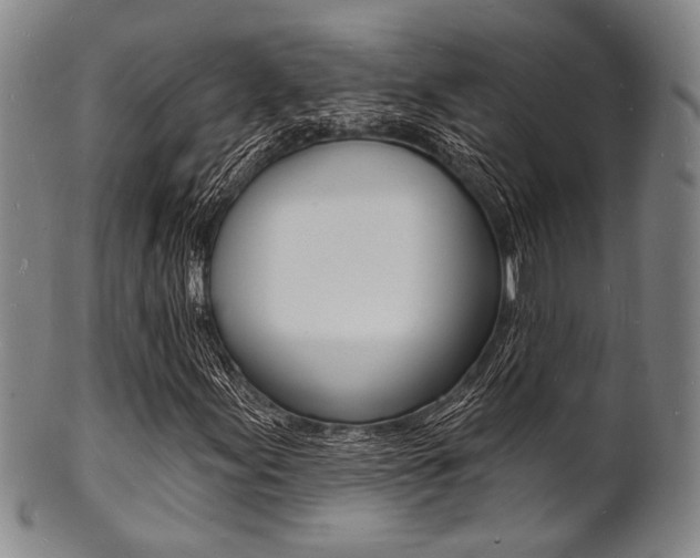 X0000101691155200807101201