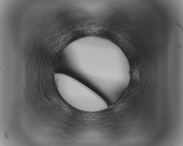 X0000101691156200807101201