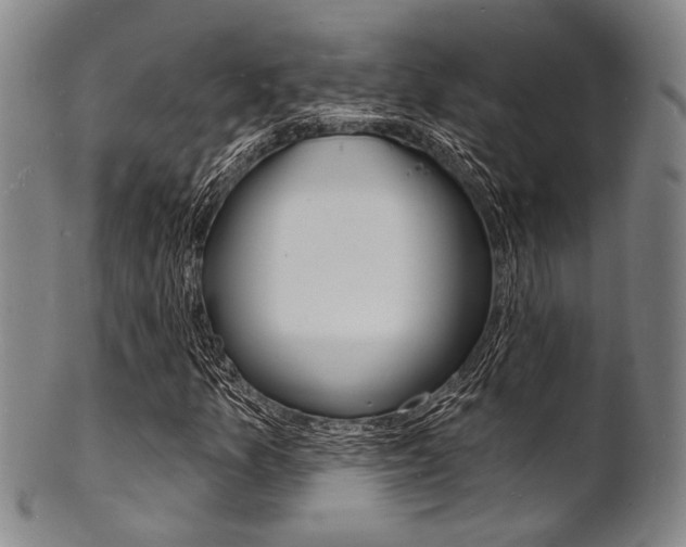 X0000101691157200807101201