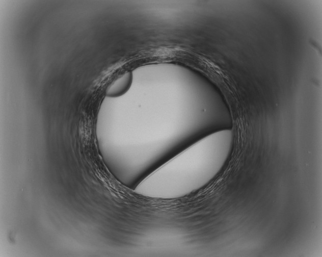 X0000101691158200807101201
