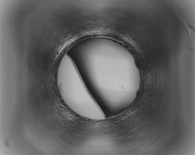 X0000101691160200807101201