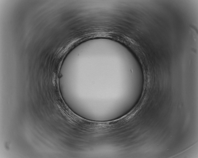 X0000101691161200807101201