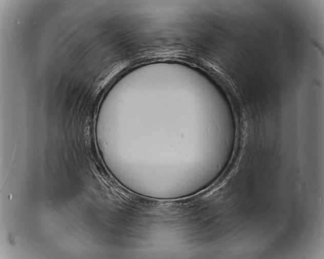 X0000101691162200807101201
