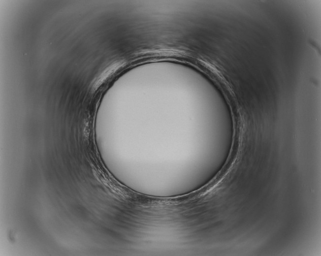 X0000101691163200807101201