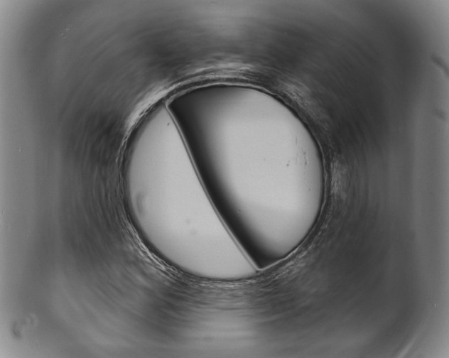 X0000101691164200807101201
