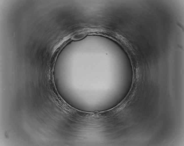 X0000101691165200807101201