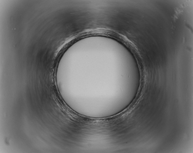 X0000101691166200807101201