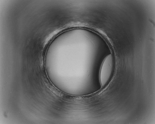 X0000101691167200807101201