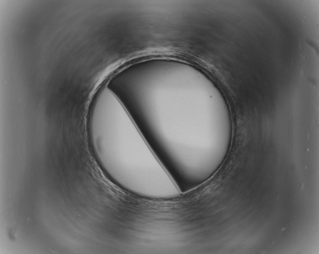 X0000101691168200807101201