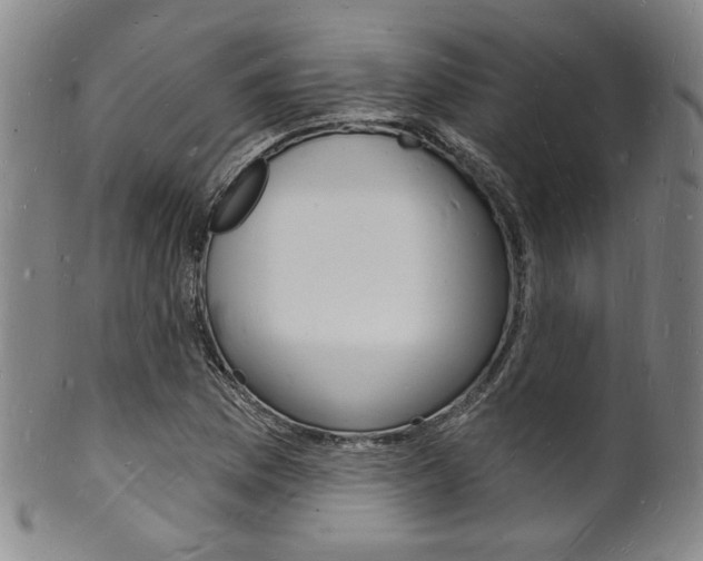X0000101691169200807101201