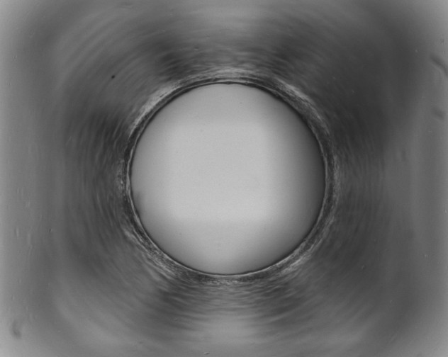 X0000101691170200807101201