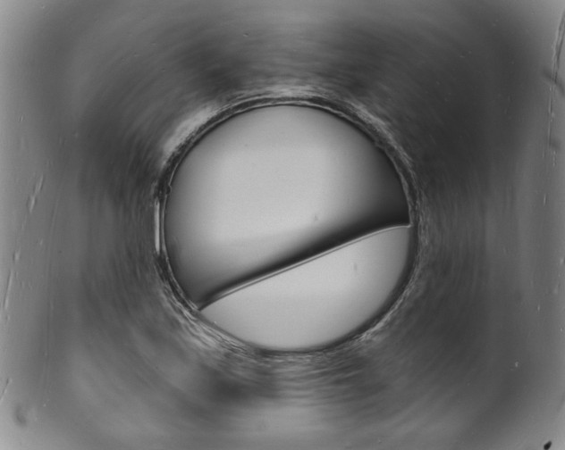 X0000101691171200807101200