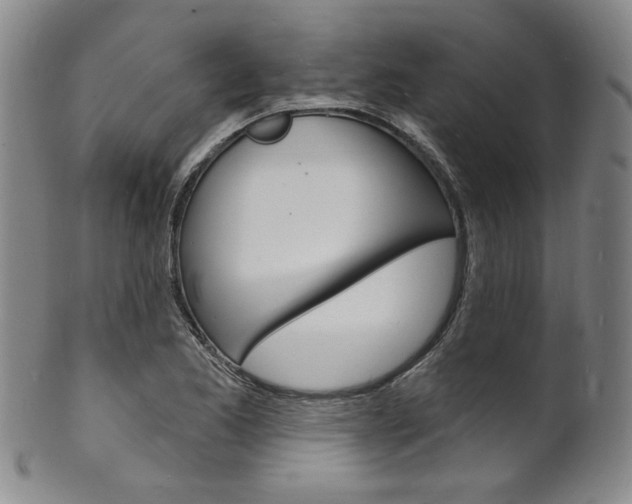 X0000101691173200807101200