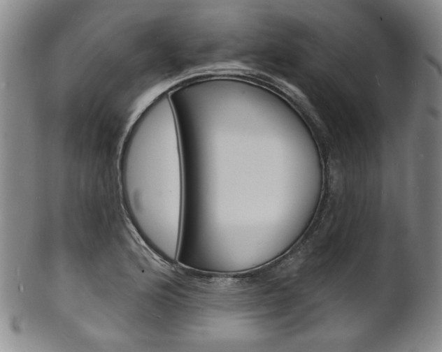 X0000101691176200807101200