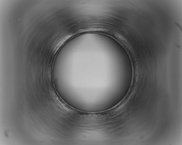 X0000101691177200807101200