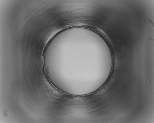 X0000101691178200807101200