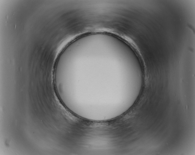 X0000101691183200807101200