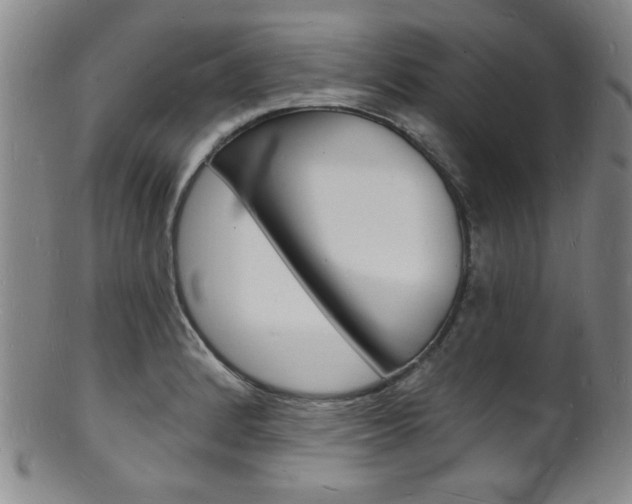 X0000101691184200807101200