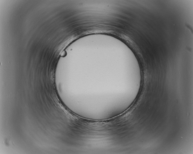 X0000101691185200807101200