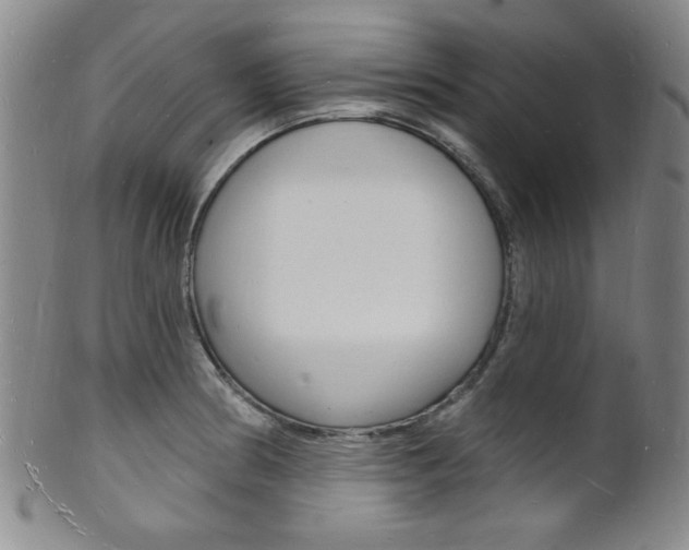 X0000101691186200807101200