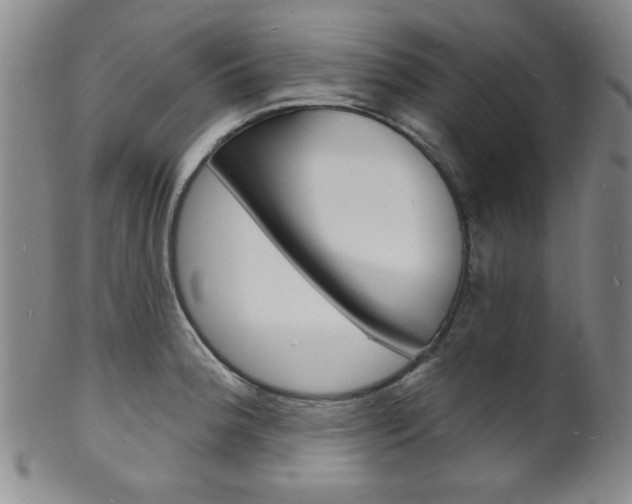 X0000101691188200807101200