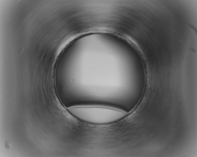 X0000101691192200807101200