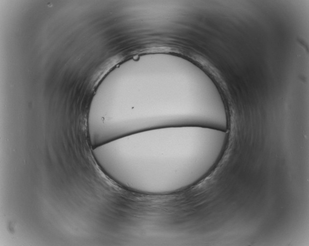 X0000101691193200807101200