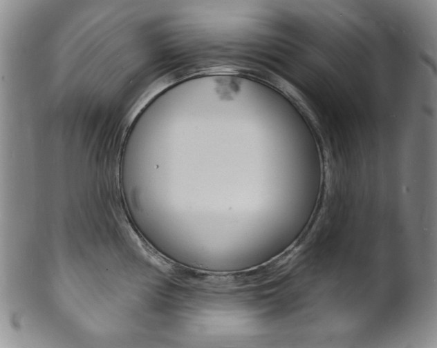 X0000101691194200807101200