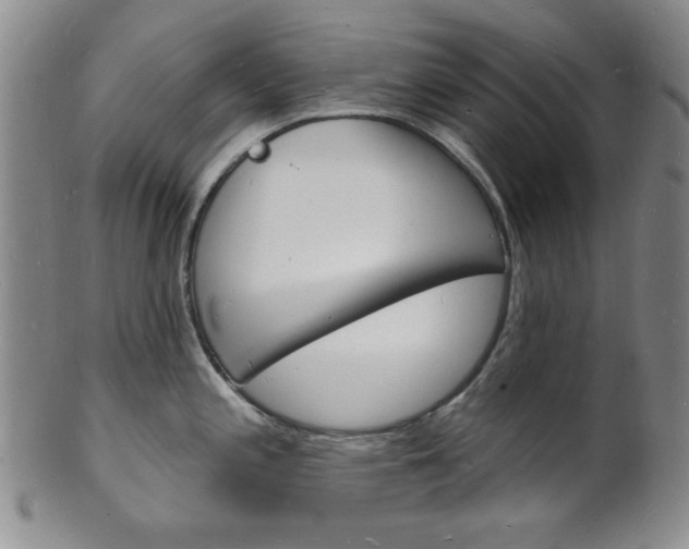 X0000101691197200807101200