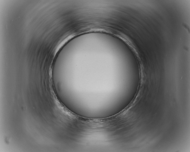 X0000101691198200807101200