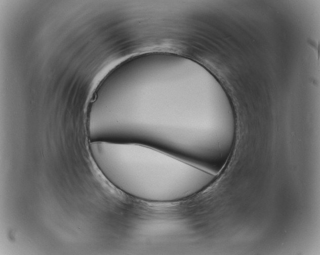 X0000101691200200807101200