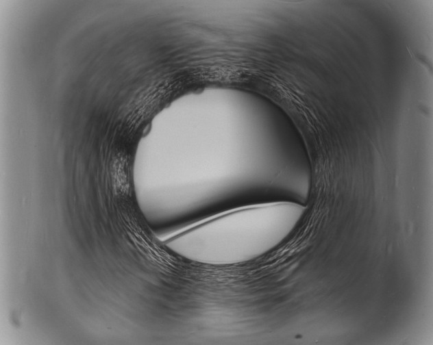 X0000101691202200807101159