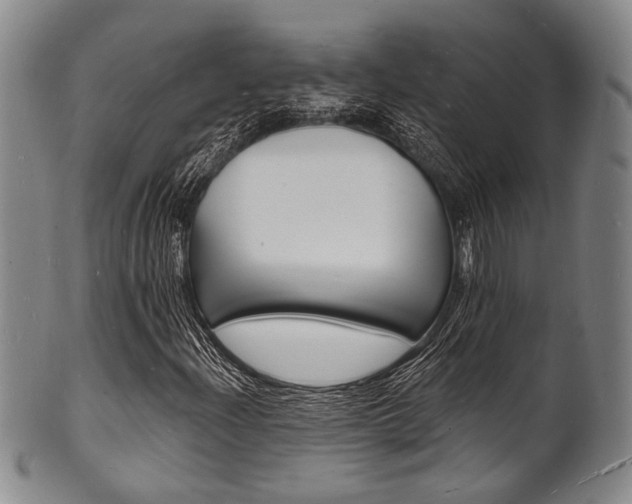 X0000101691204200807101159