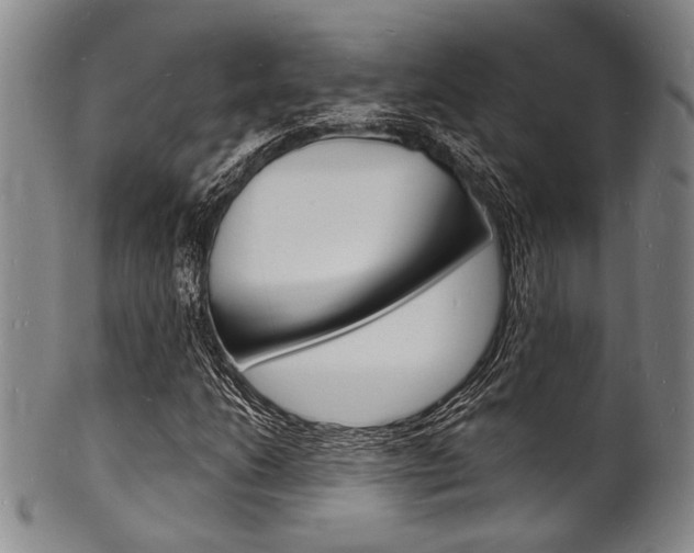 X0000101691206200807101159